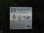 Dnešní Den dětí