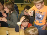 Projekt 
