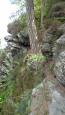 5. den - Děčín