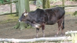 5. den - Děčín