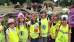 červen 2017 - ZOO Praha
