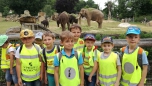 červen 2017 - ZOO Praha