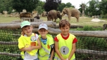 červen 2017 - ZOO Praha