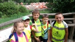 červen 2017 - ZOO Praha