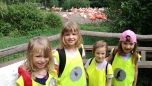 červen 2017 - ZOO Praha