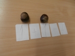 Matematika
