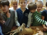 listopad 2017 - Přednáška o myslivosti