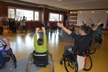 Paraple