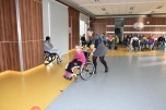 Paraple