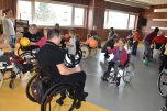 Paraple