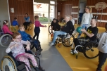Paraple