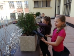 duben 2018 - Pečujeme o rostliny na našem balkoně