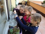 duben 2018 - Pečujeme o rostliny na našem balkoně