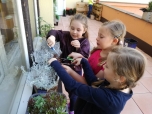 duben 2018 - Pečujeme o rostliny na našem balkoně