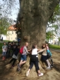 Werichova vila