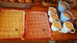Škola v přírodě - Příchovice 