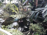 Botanická zahrada