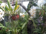 Botanická zahrada