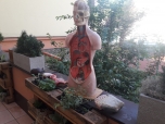 Učíme se na balkoně