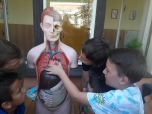 Učíme se na balkoně