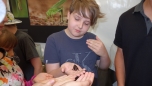 Výstava bezobratlých