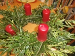 Knihovna Sue Ryder