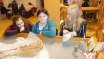 Návštěva muzea