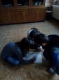 Tlak v praxi