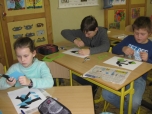 únor 2019 - Pracovní činnosti