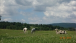 ŠVP - Janov nad Nisou 1. den