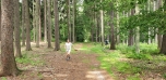 Výlet 