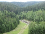 5. den