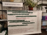 Světový den jazyků