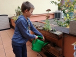 Podzimní úklid na balkonu