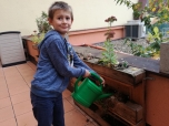 Podzimní úklid na balkonu