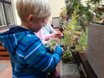 Podzimní úklid na balkonu