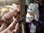 Exkurze na farmě