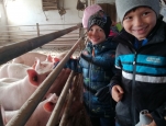 Exkurze na farmě