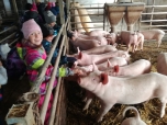 Exkurze na farmě