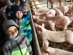 Exkurze na farmě