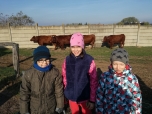 Exkurze na farmě
