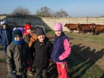 Exkurze na farmě