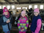 Exkurze na farmě