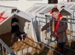 Exkurze na farmě