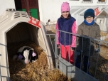 Exkurze na farmě