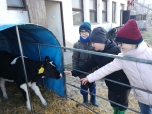 Exkurze na farmě