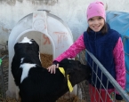 Exkurze na farmě