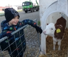 Exkurze na farmě