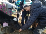 Exkurze na farmě