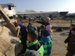 Exkurze na farmě